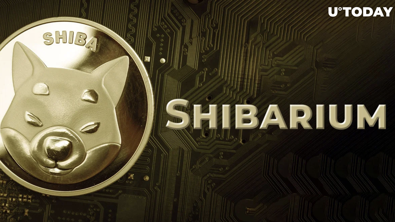Shibarium Beta Releases Public Documentation: Here's What You Need to Know