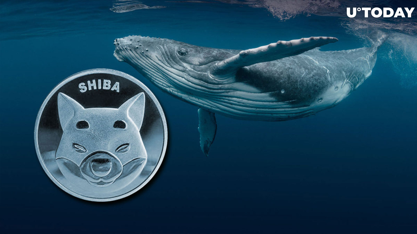 131 Billion Shiba Inu (SHIB) Bought by Whale as Price Reaches Key Support