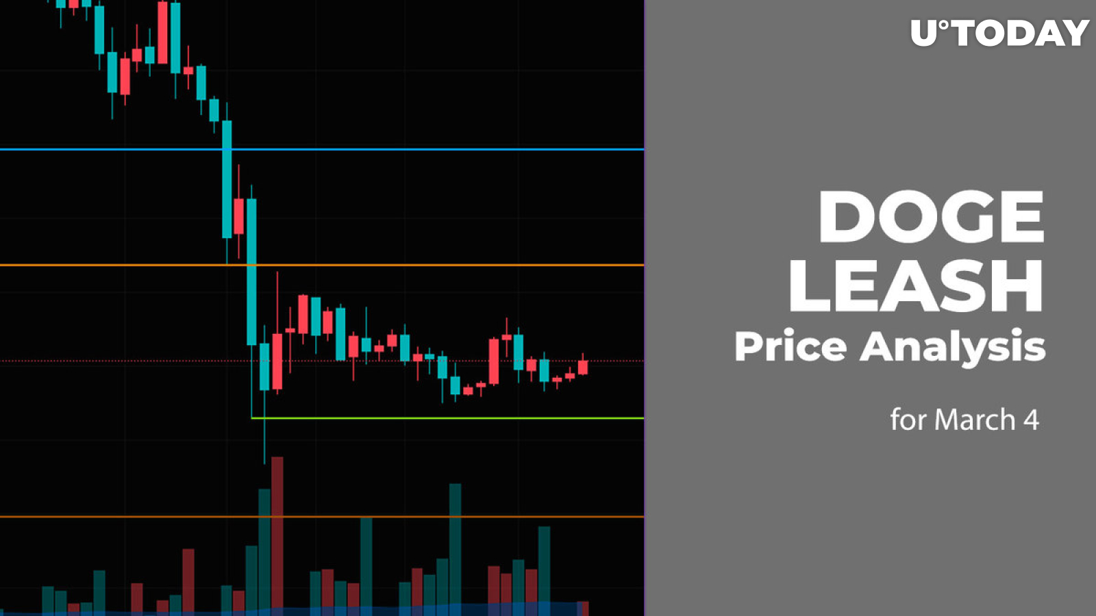 DOGE and LEASH Price Analysis for March 4