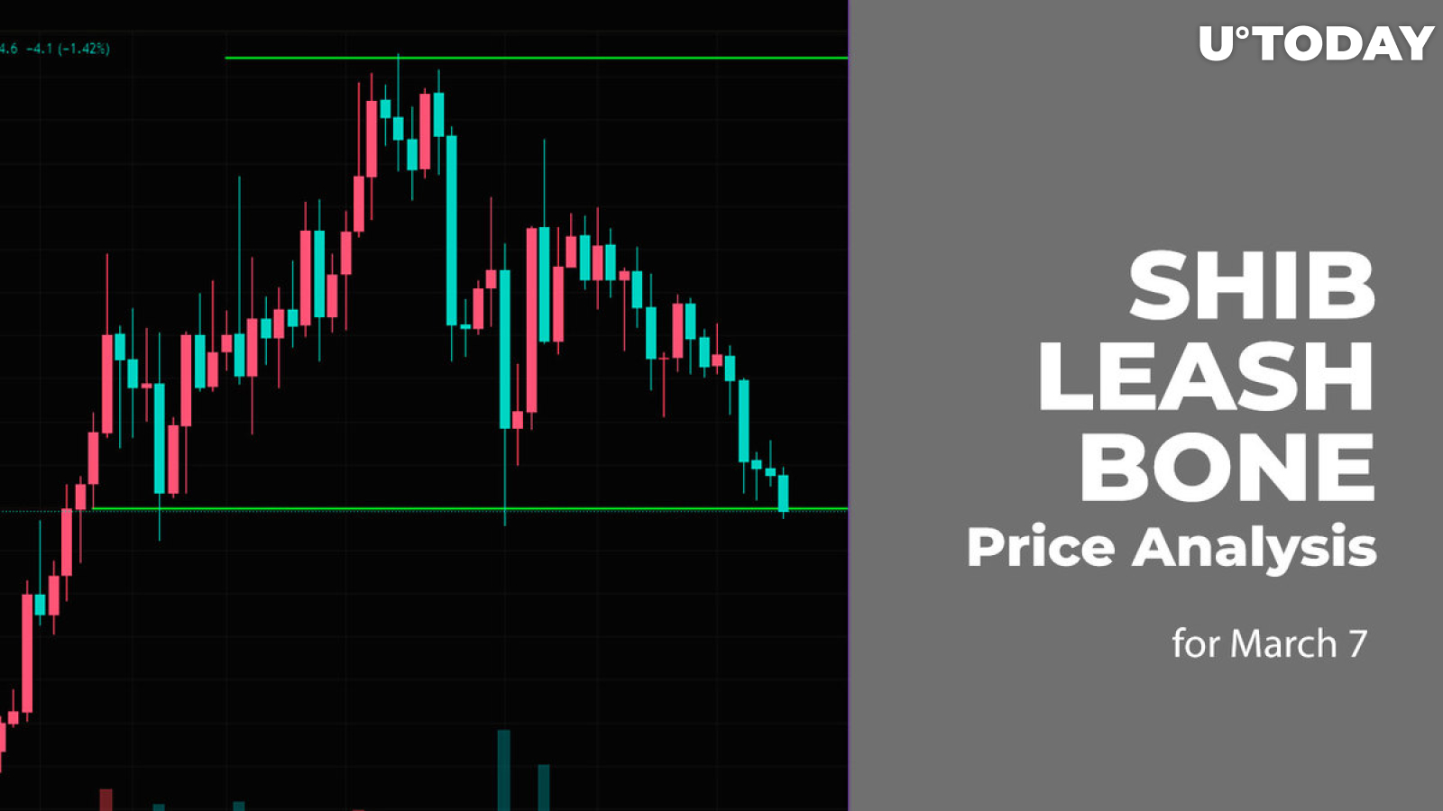 SHIB, LEASH and BONE Price Analysis for March 7