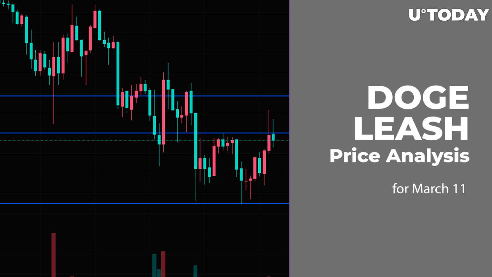 DOGE and LEASH Price Analysis for March 11