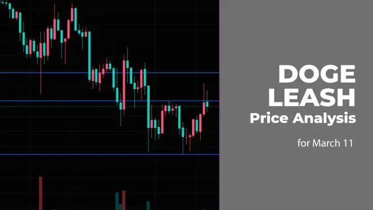 DOGE and LEASH Price Analysis for March 11