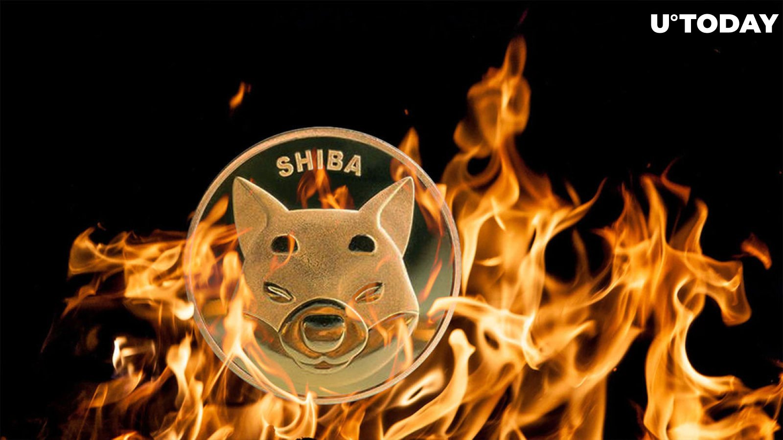 Shiba Inu Burn Machine Has No Effect on 590 Trillion SHIB Supply, Data Shows