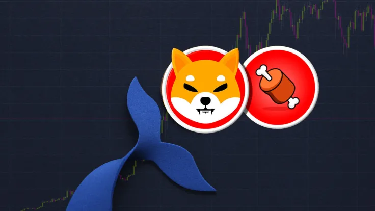 Major BONE Whales Increase Holdings After Shibarium Beta Release