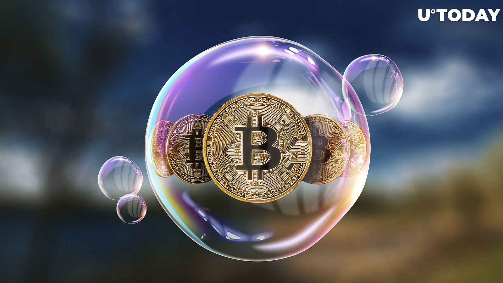 Bitcoin (BTC) Just Another Bubble: IFF Economist