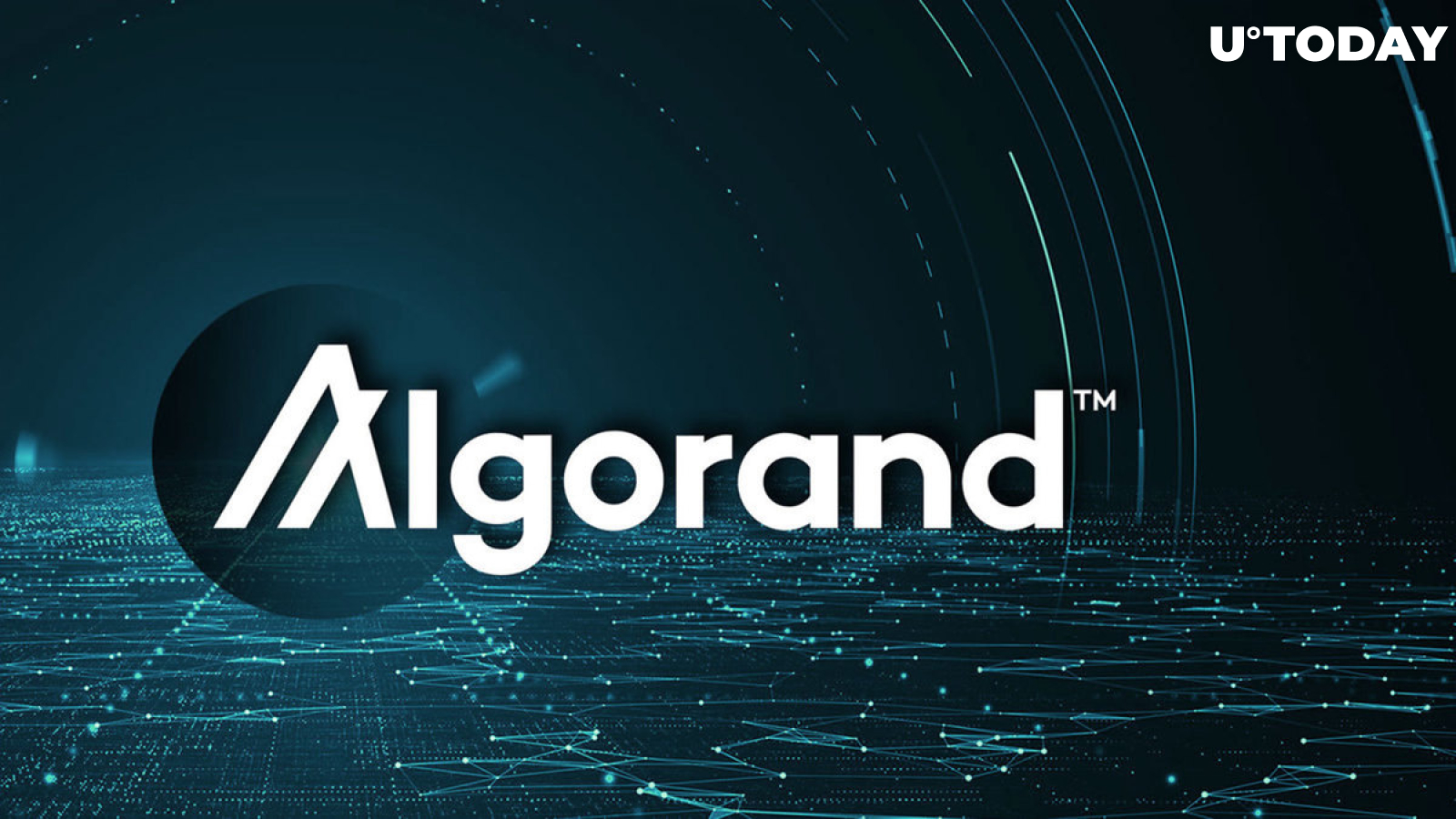 Algorand (ALGO) Wallet Exploit: Here's Latest Update