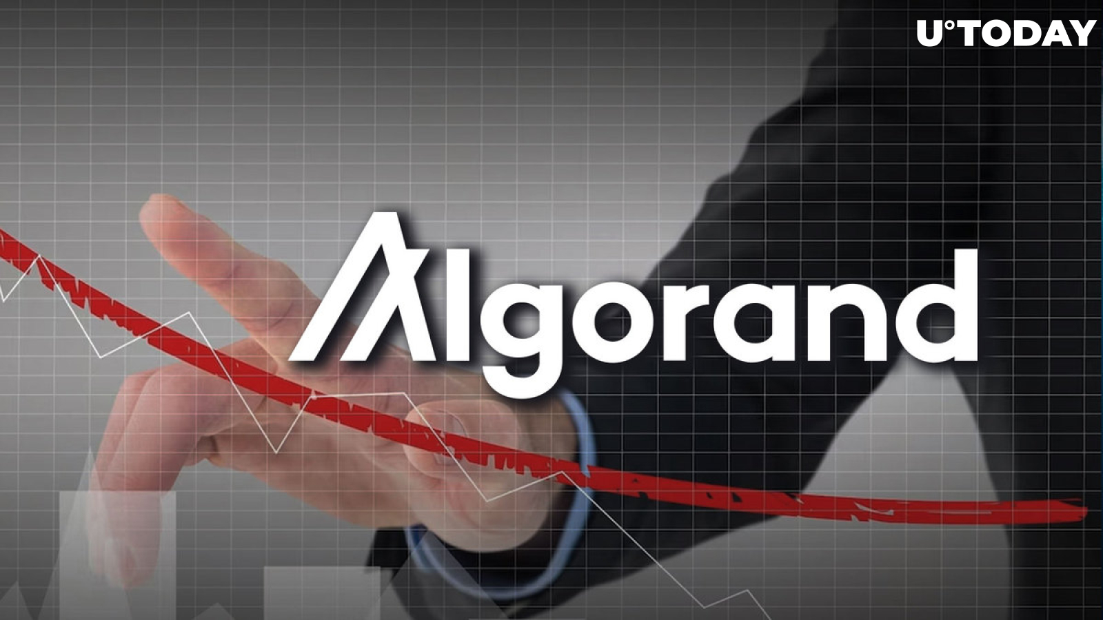More than 98% of Algorand (ALGO) Addresses Are in Loss, Here's How to Turn Tide