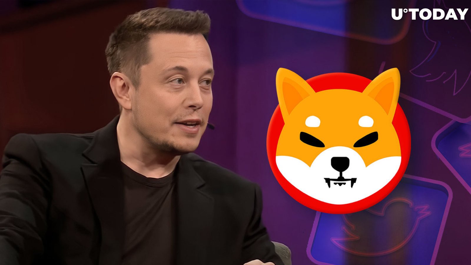Elon Musk's Meme Tweet Causes This Reaction of Shiba Inu Lead
