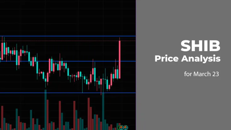 SHIB Price Analysis for March 23