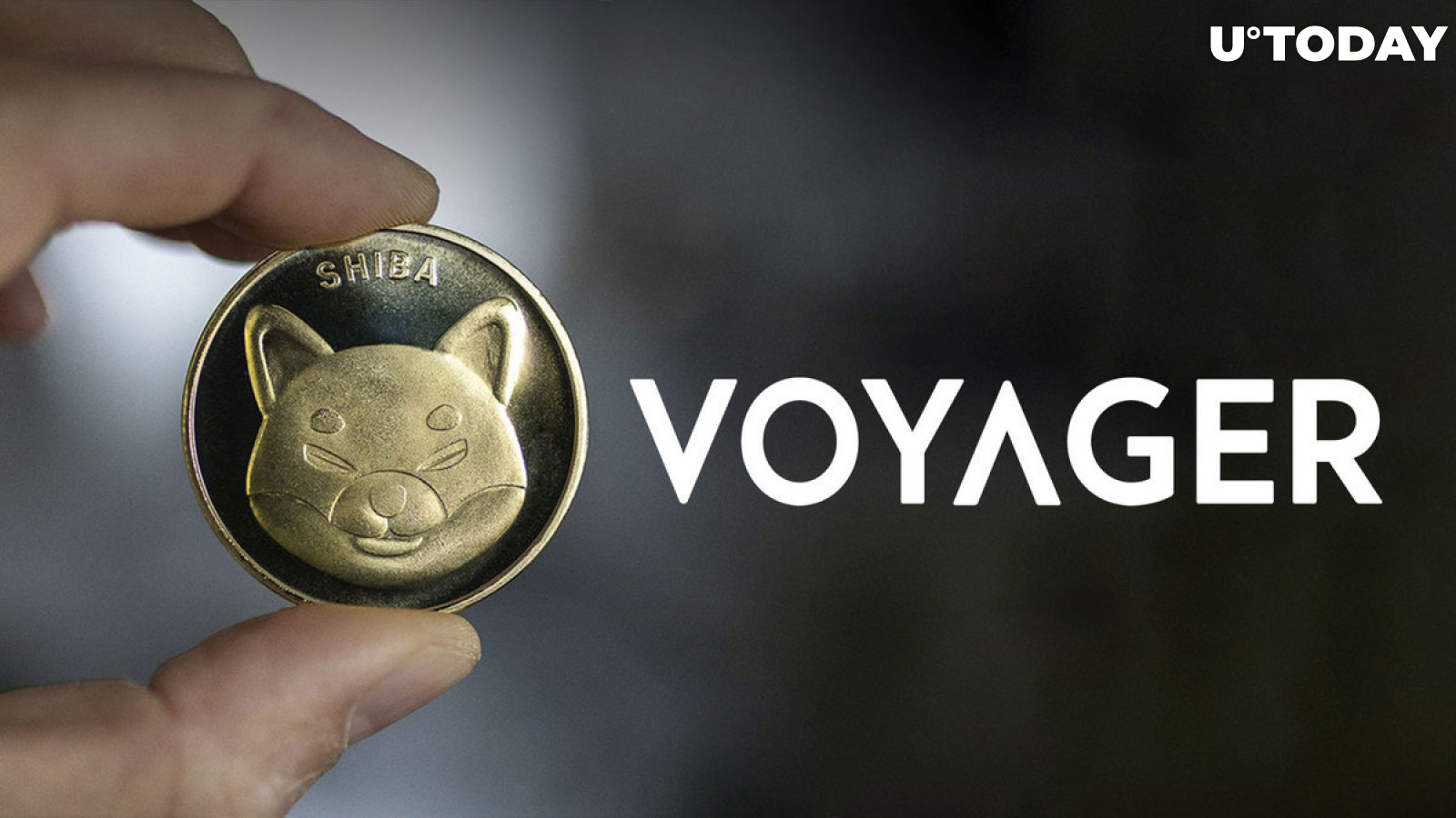 Voyager Gets $610 Million from Selling Shiba Inu, ETH and VGX