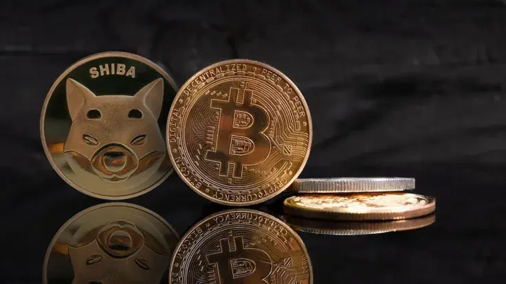 Shiba Inu (SHIB), Bitcoin (BTC) Now Accepted by This U.S. Travel Company: Details