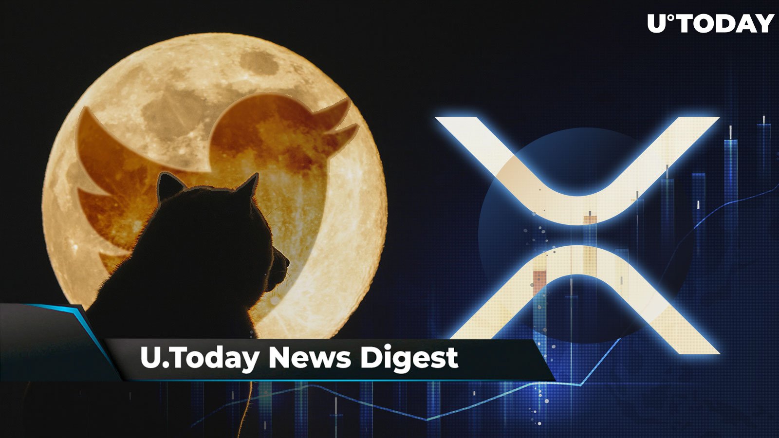 Dogecoin up as Doge Replaces Twitter’s Bird Logo, Bybit Lists BabyDoge, XRP Surpasses Altcoins in Inflows: Crypto News Digest by U.Today