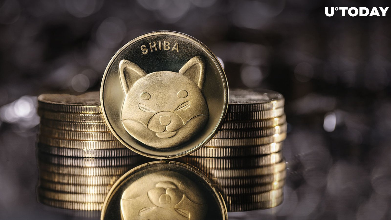 Around $1 Billion Shiba Inu (SHIB) Moved in One Day, But What's Really Behind Those Transactions?