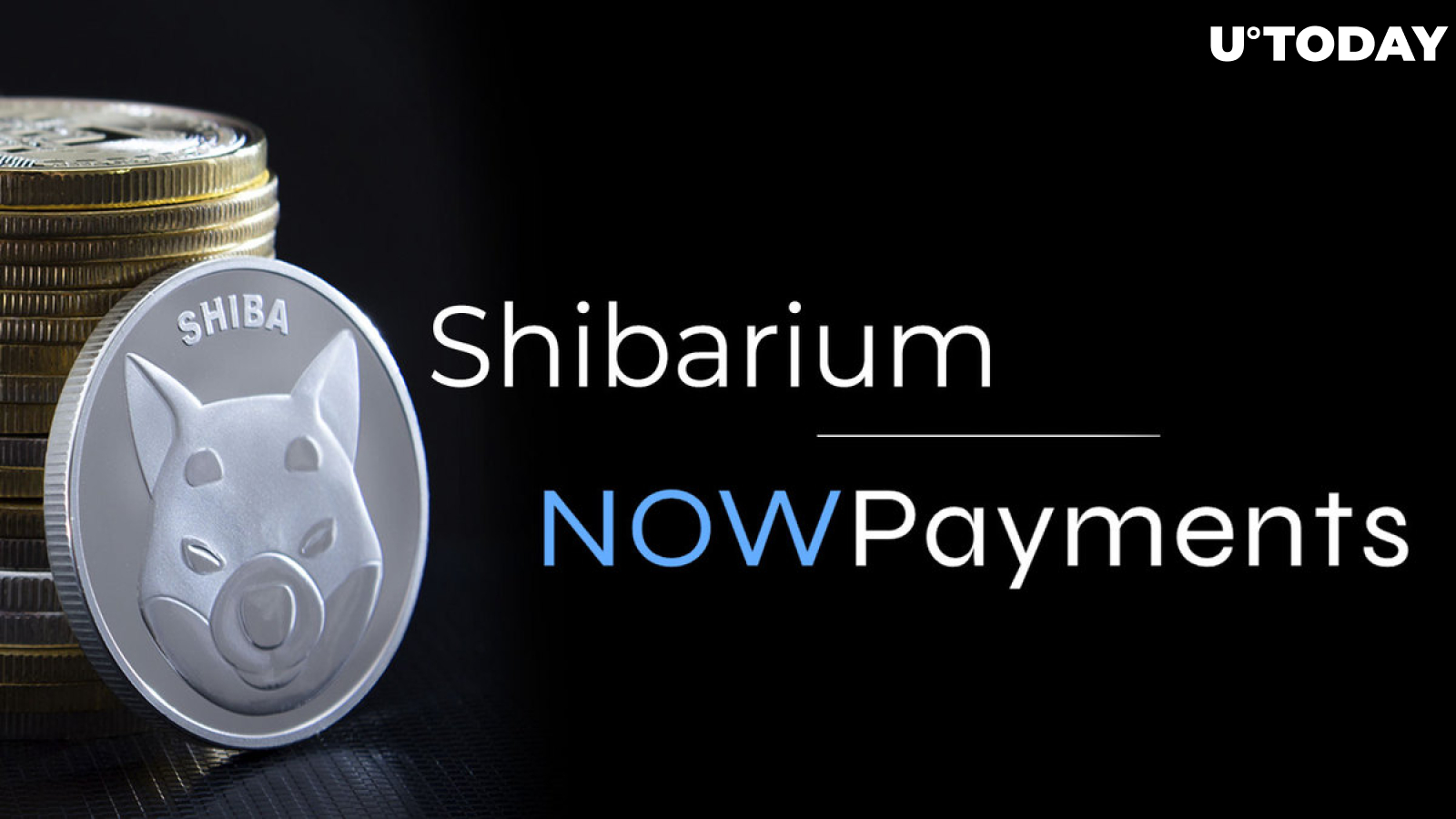 Shibarium and NOWPayments Join Forces: Shiba Inu (SHIB) Lead Approves