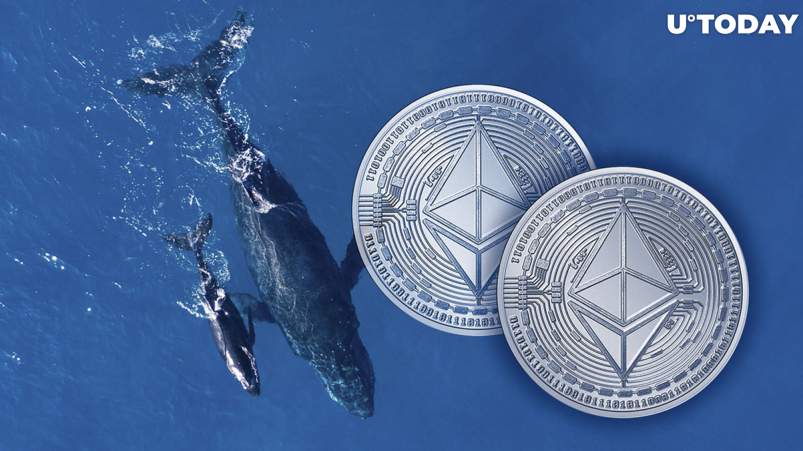 Ethereum (ETH) Jumps to New 11-Month High, Here's Why This Is Whale Driven