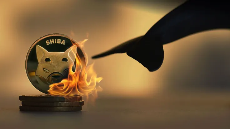 Whale Burns 1.4 Billion Shiba Inu at Once, 1.8 Billion SHIB 'Killed' in 7 Days