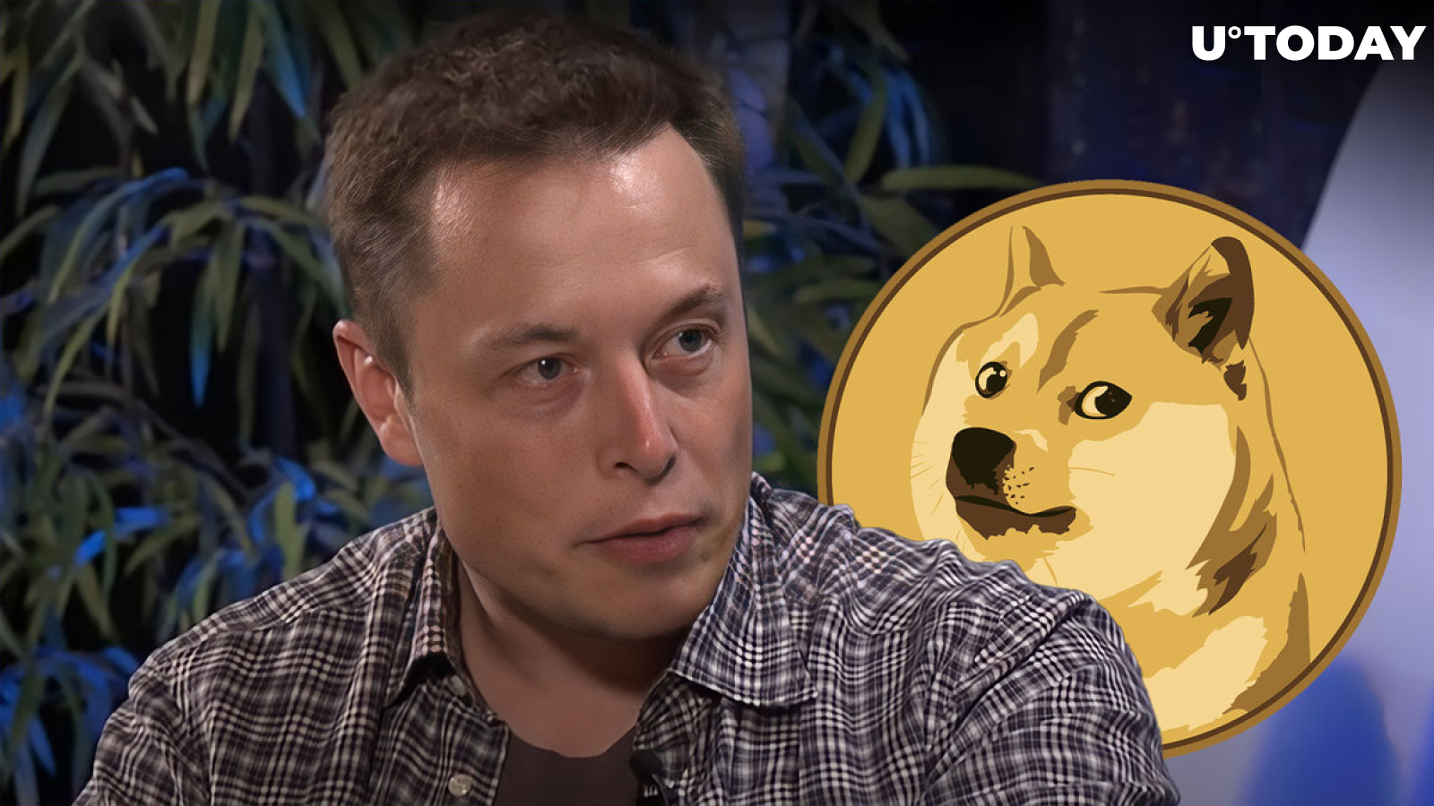 Elon Musk's Intriguing Tweet Draws Attention of Dogecoin Army: Details