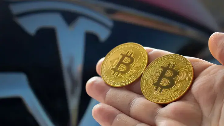 Tesla vs Bitcoin: Hedgeye CEO Highlights "Tight Race" as Both Crash Over 50%