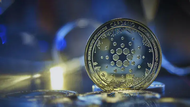 Cardano Foundation Highlights Significant Milestones Hit in First Annual Report