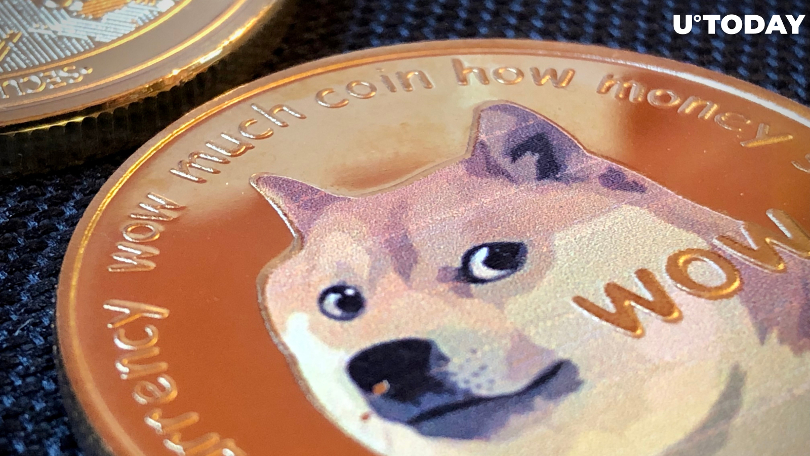 Quarter of DOGE Supply Held in Robinhood’s Wallets – Tens of Billions of Dogecoin
