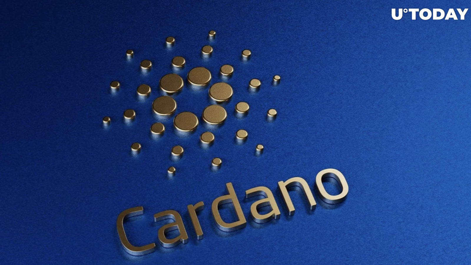 Cardano Foundation CEO Explains What Happens After SPO Vote