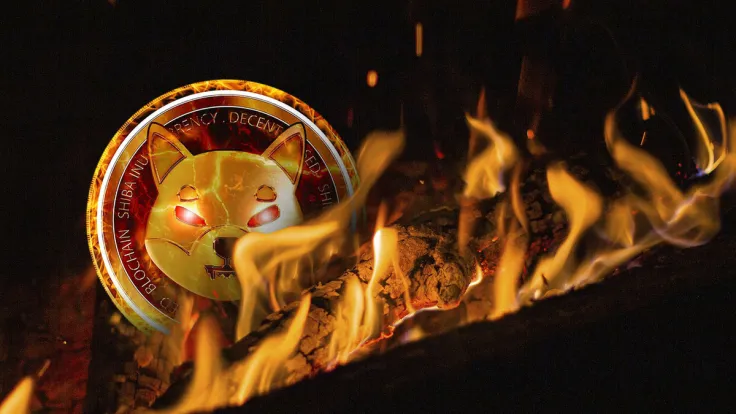 Shiba Inu Burn Rate Jumps Almost 40,000% Second Time This Week, What's Happening?