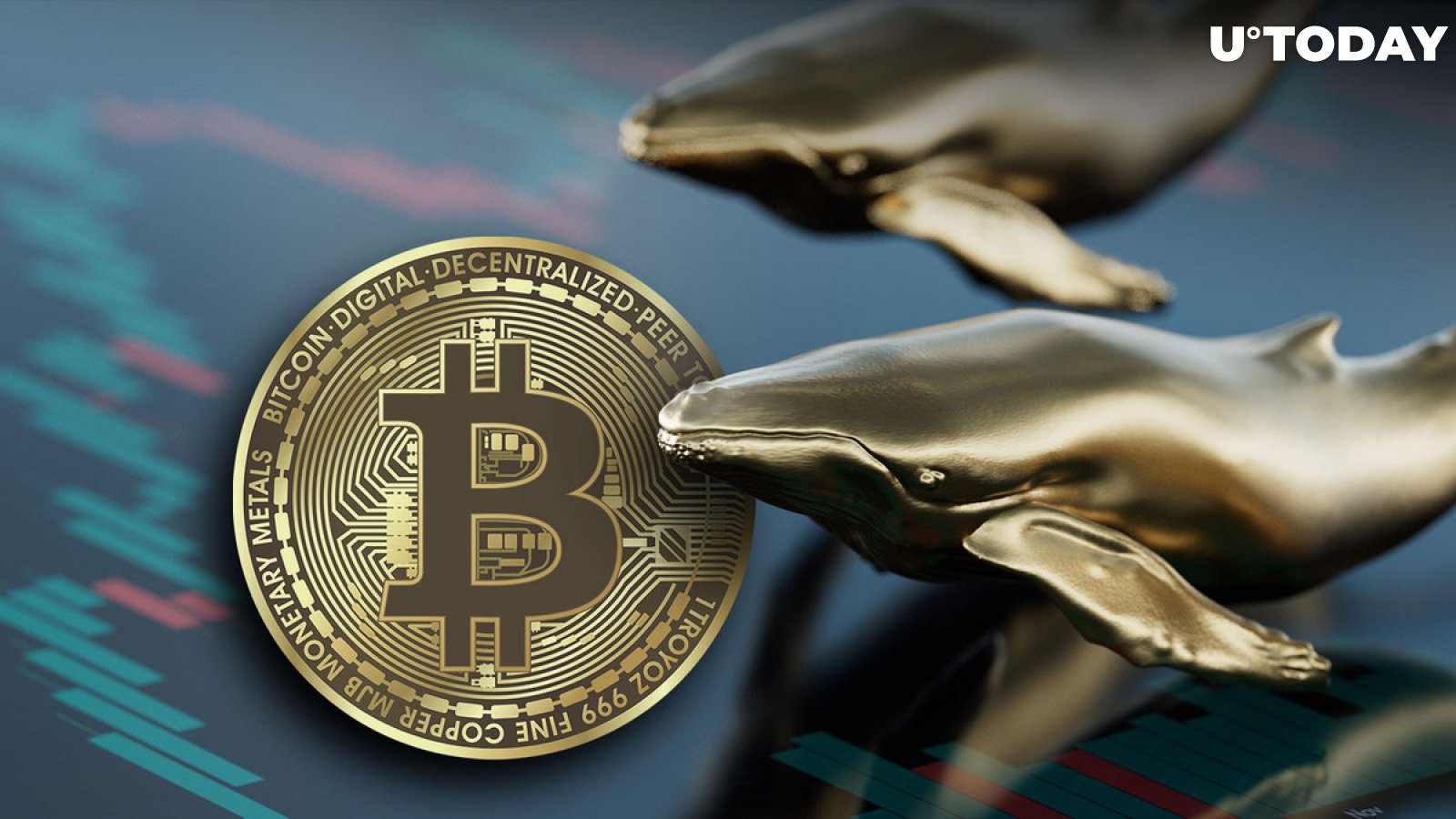 Bitcoin (BTC) Whales Just Drove $240 Million Away From Exchanges