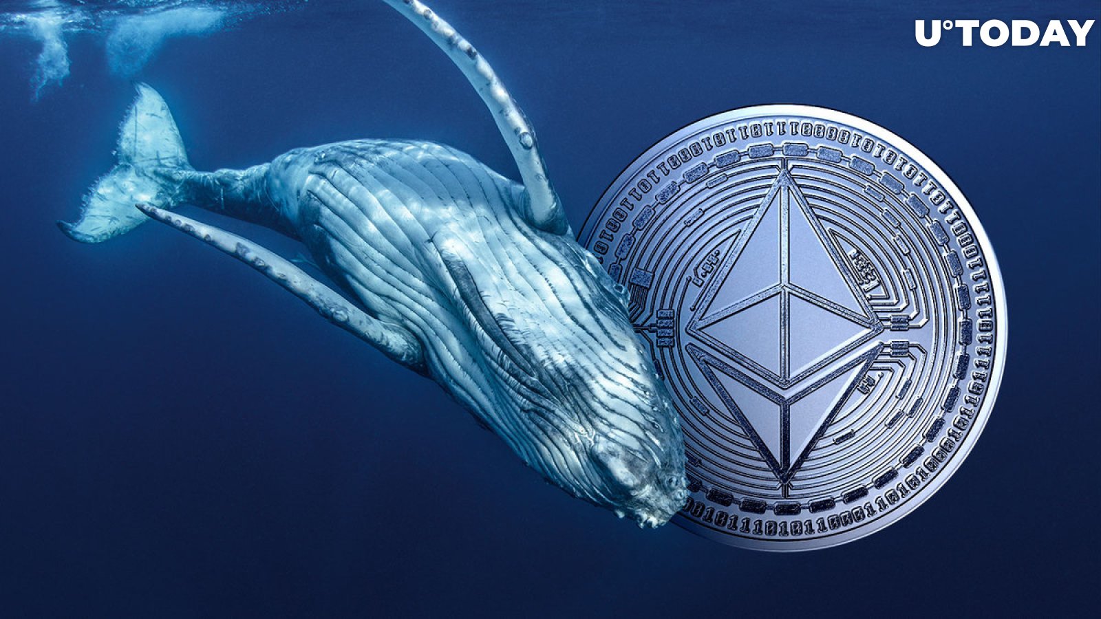 Ethereum Whales Are Panic Selling, What's Happening?