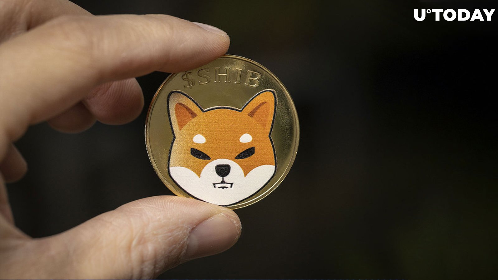 Shiba Inu (SHIB) Big Announcement Imminent, Here's What It Might Be