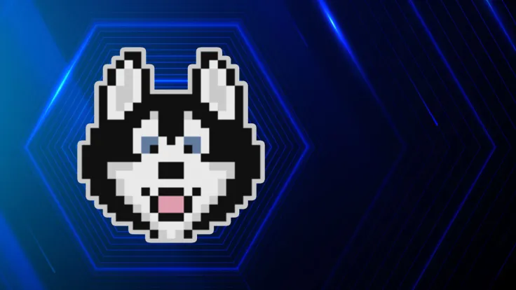 Cardano Meme Coin HOSKY Lands Major Listing on Asian Exchange