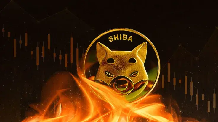 SHIB Army Sees Massive Drop in Burn Rates, Here's What's Happening to Price