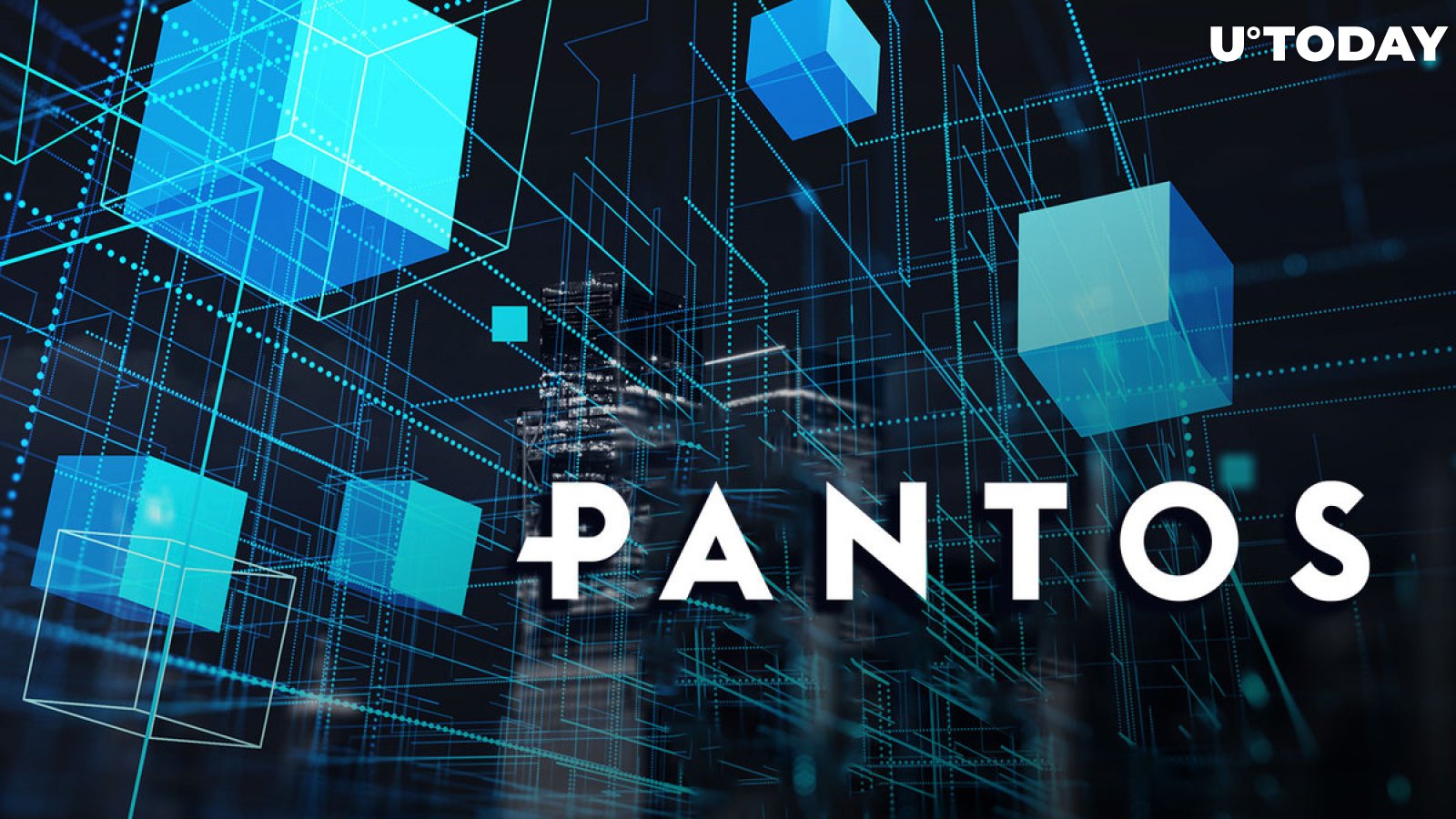Bitpanda's Pantos Introduces Multichain Token Creator: New Way of Blockchain Collaboration