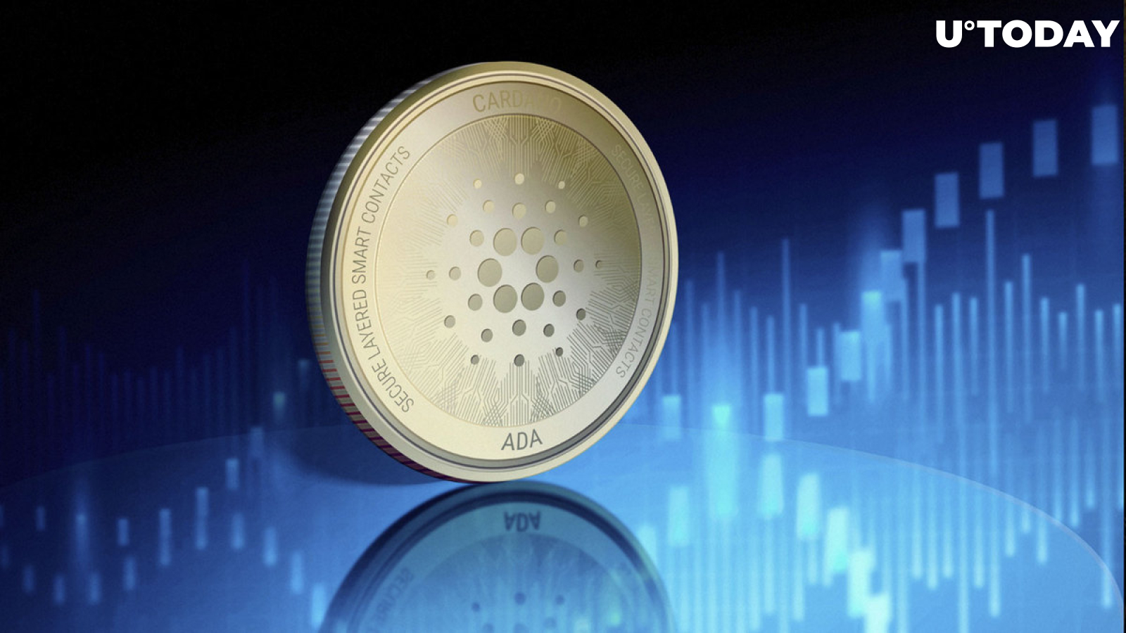 ADA Whales Unleash Chaos on Cardano Network: Details