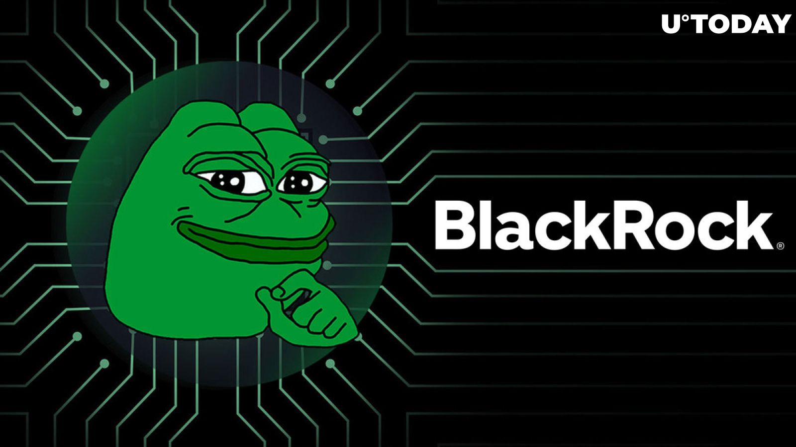 BlackRock's Involvement With PEPE Can Be Explained Now: Details