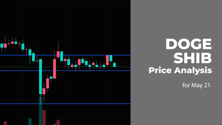 DOGE and SHIB Price Analysis for May 21