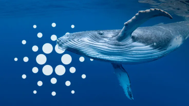 Cardano Saw 100 Billion ADA Spike of Whale Transactions: Reasons