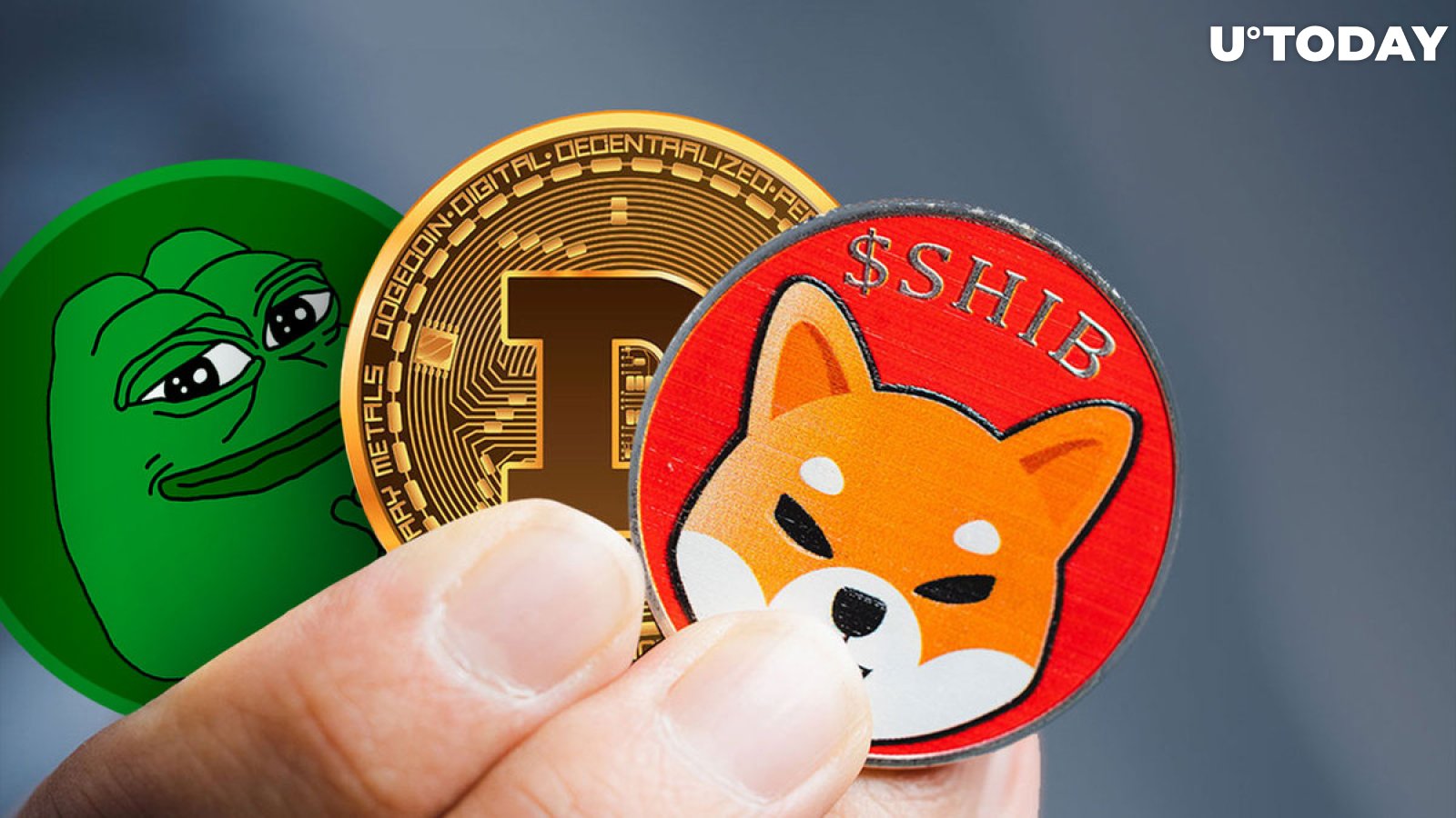 SHIB, DOGE and PEPE's Market Making Insights Unmasked