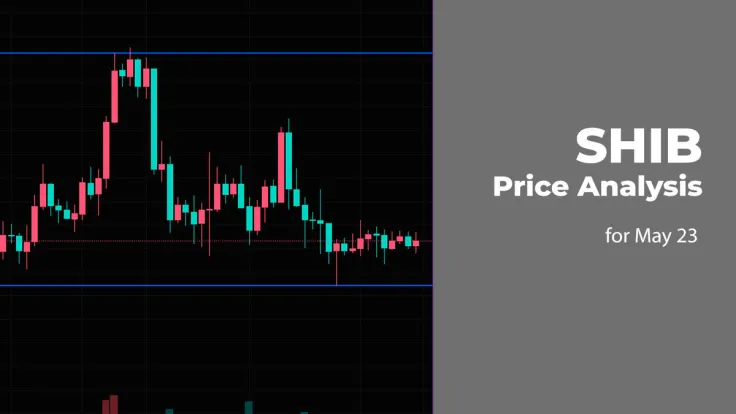SHIB Price Analysis for May 23