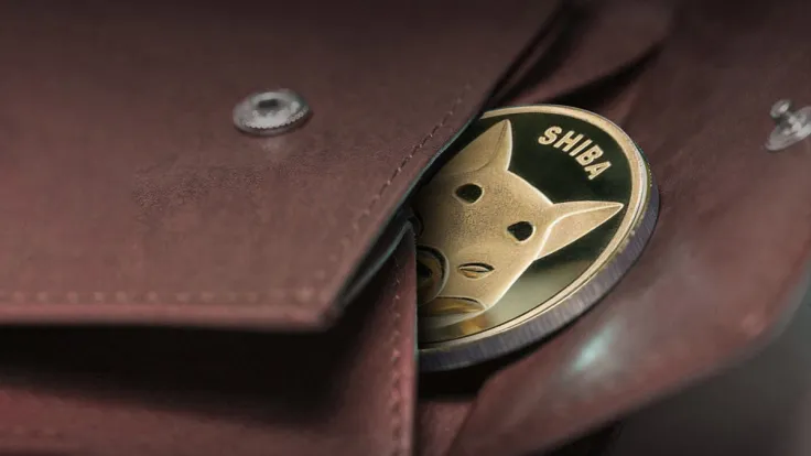 SHIB Tokens Sent to Dead Wallet Top 1.3 Billion, Why Is Price Still Down?