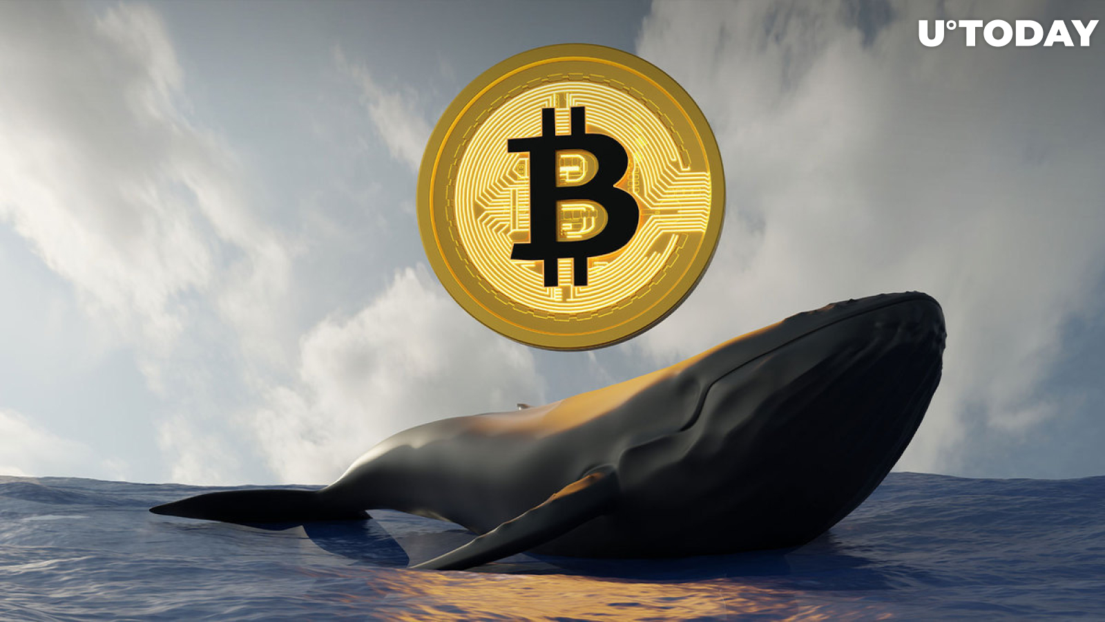 Staggering $1.14 Billion in Bitcoin Suddenly Moved by BTC Whales