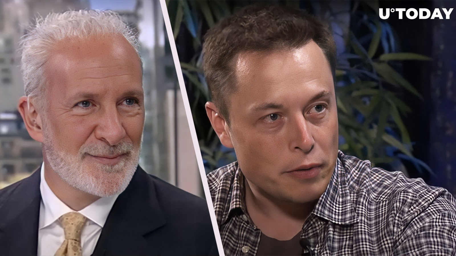 Crypto Hater Peter Schiff Gives Elon Musk Investment Advice