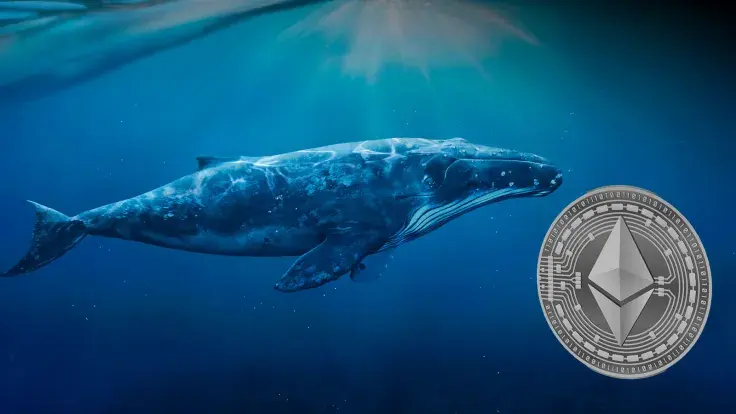 Sleeping Ethereum Whale Emerges