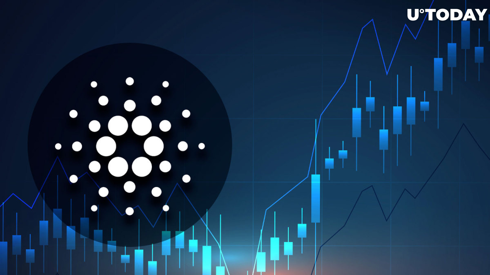 Cardano Network Blossoms as DeFi Volume Hits Enormous Values