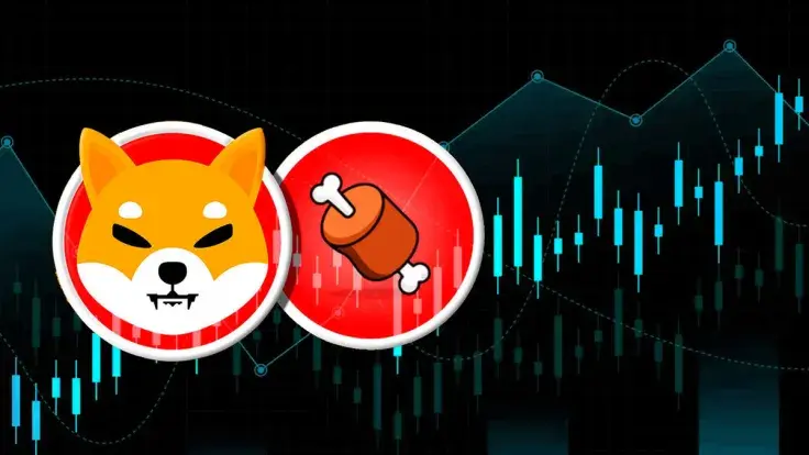 Shiba Inu's BONE Gains 21% as Shibarium Utility Jumps