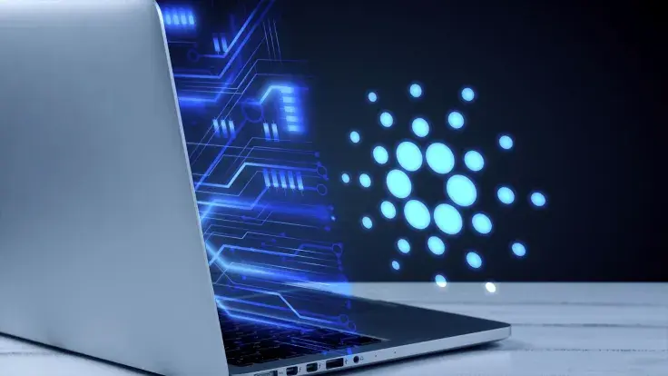 Cardano Transaction Fees Hit Record High Since August 2022