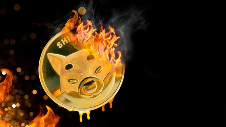 Shiba Inu (SHIB) Burn Rate up 1,500%, Price Shows Deference