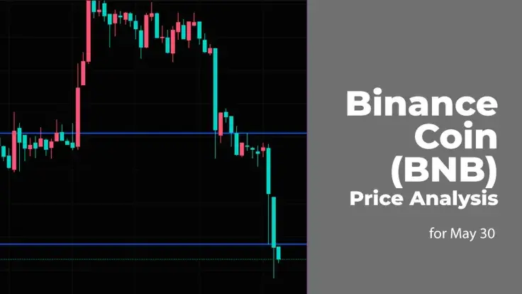 Binance Coin (BNB) Price Analysis for May 30