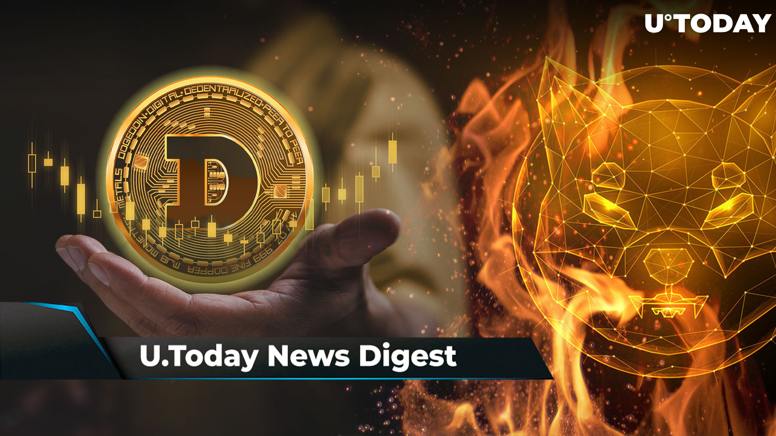 DOGE Transactions Go Parabolic, XRP Holders' Lawyer Predicts FOMO Will Start at $2, SHIB Burn Rate Jumps 1,450%: Crypto News Digest by U.Today
