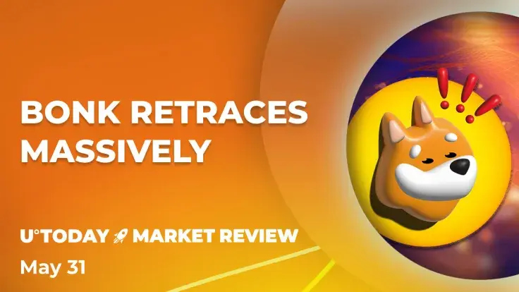 BONK Sees 68% Price Spike But Then Retraces Massively: Are Whales Behind This?