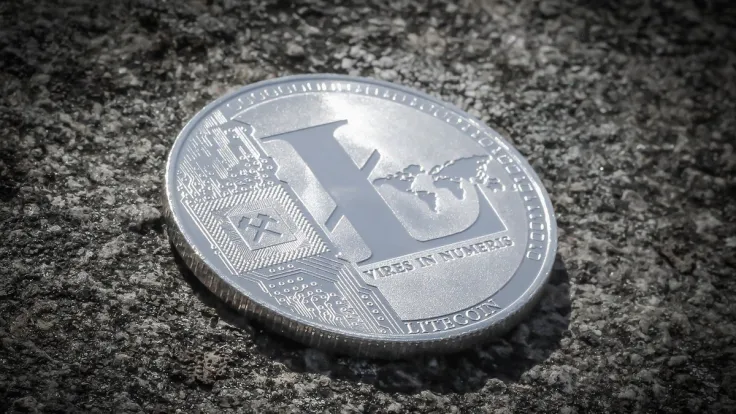 Litecoin Price History Unveils Major Hint Prior to LTC Halving